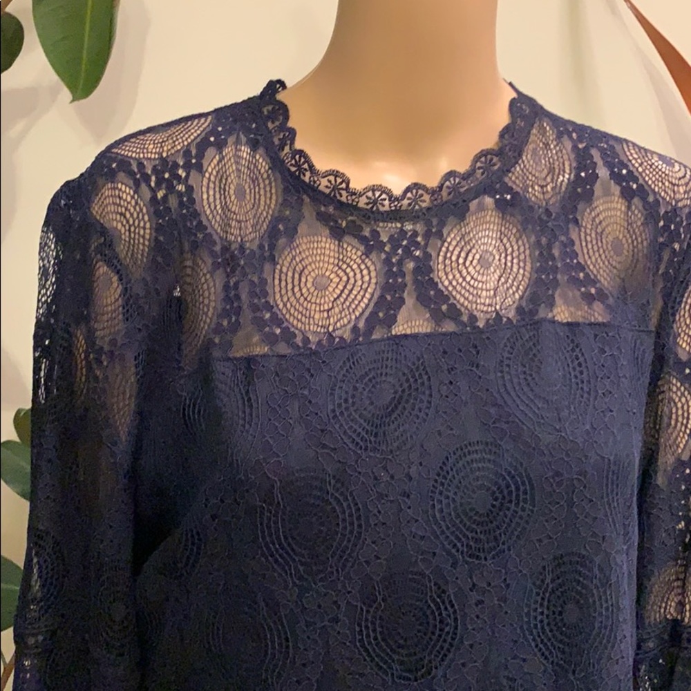 Beautiful Lace Overlay Dress - Picture 2 of 8